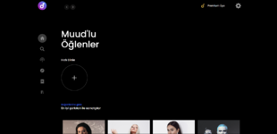 Ekran görüntüsü 2024-08-21 161514.png