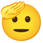 1731270703639.png