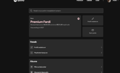 Screenshot 2025-02-28 at 20-51-08 Spotify.png
