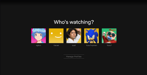 1764011411416.png