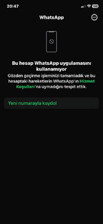 IMG_6272.png