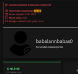 1775491108020.png