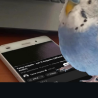 Kartinqwe