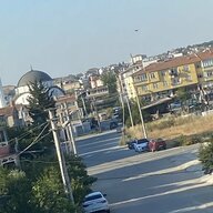 belalısamur