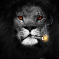 kingnl